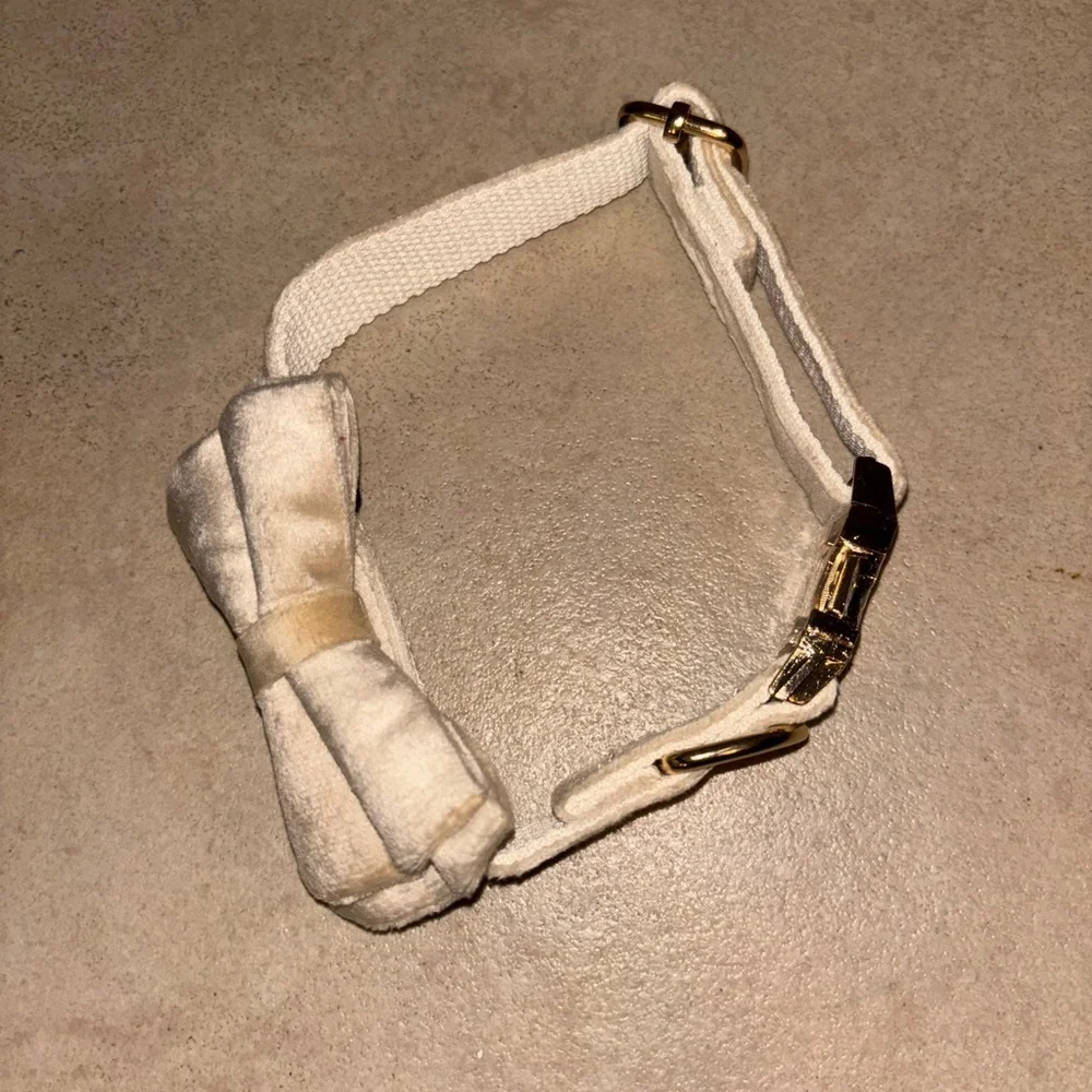 NIB Velvet Cream Bow Tie Dog Collar
